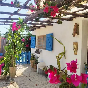 Sweet Old House Marsala